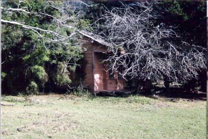 a043_house_awakiki